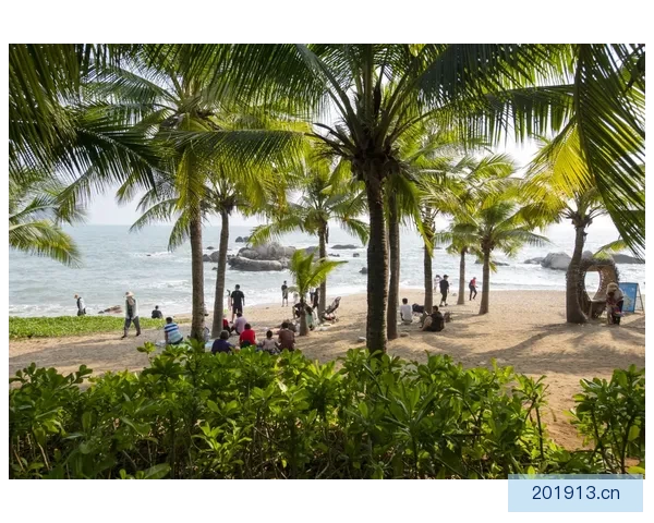 三亚天涯海角：网红树的传说与现实